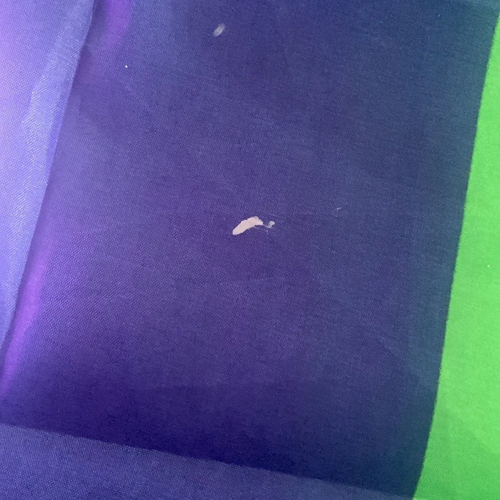pride flag